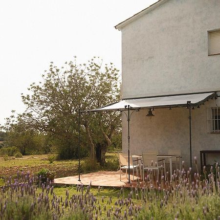 Masia Bartomeu Rural House Between Vineyards 2Km From The Beach El Vendrell Εξωτερικό φωτογραφία