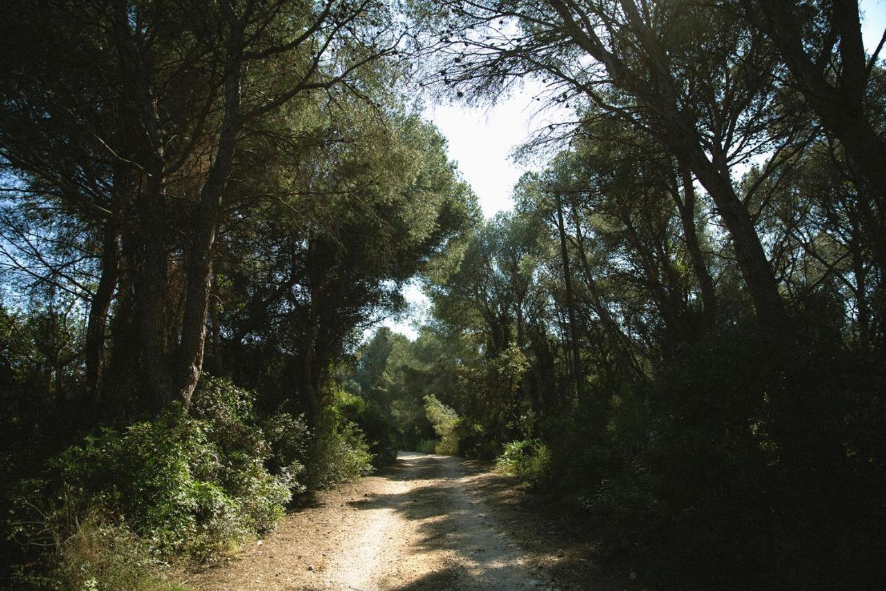 Masia Bartomeu Rural House Between Vineyards 2Km From The Beach El Vendrell Εξωτερικό φωτογραφία