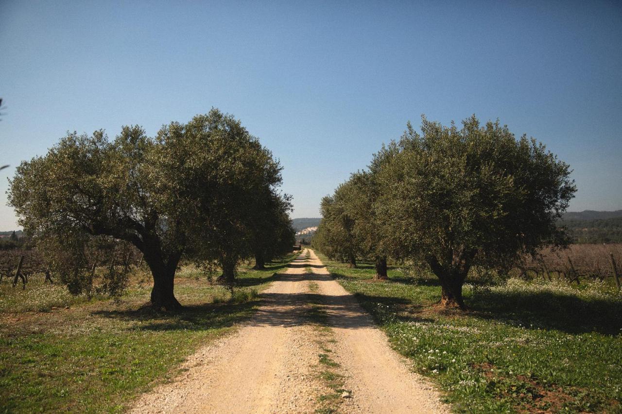 Masia Bartomeu Rural House Between Vineyards 2Km From The Beach El Vendrell Εξωτερικό φωτογραφία