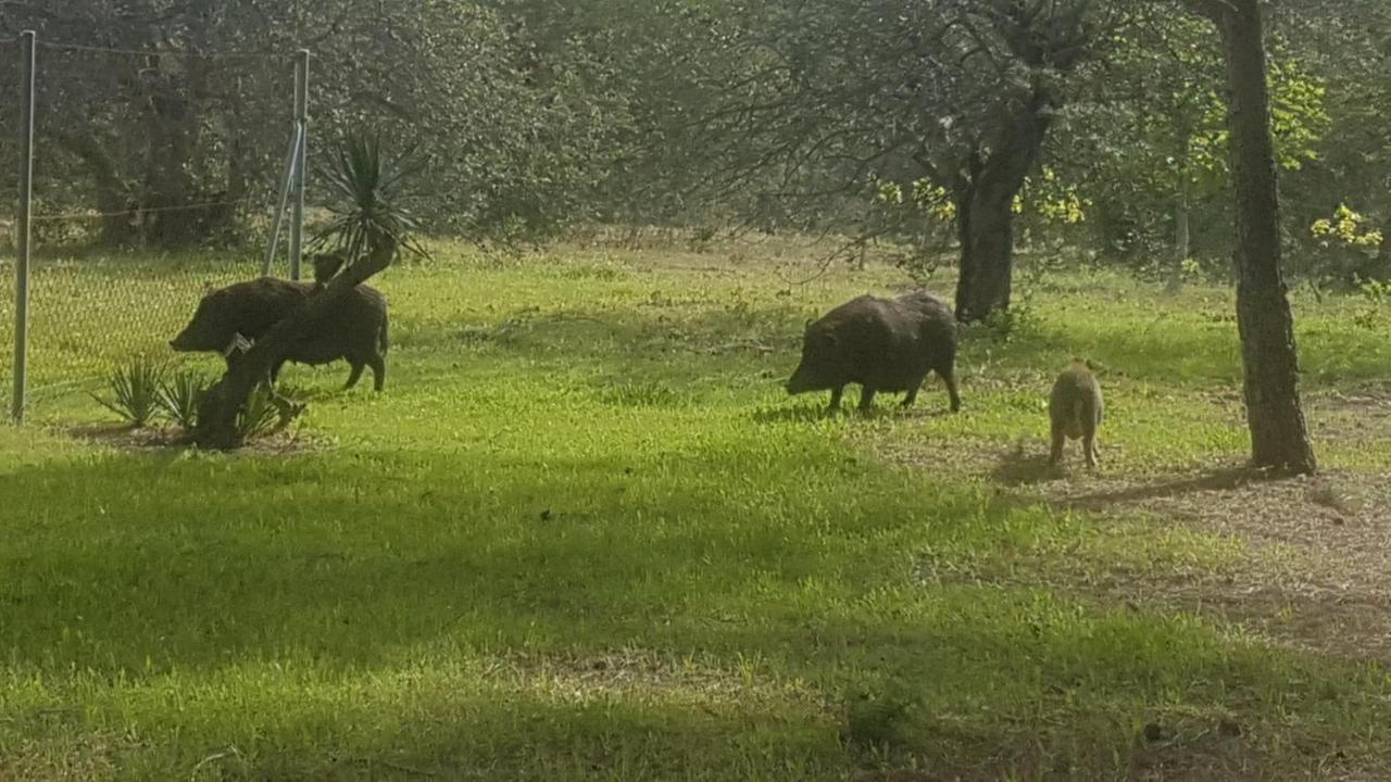 Masia Bartomeu Rural House Between Vineyards 2Km From The Beach El Vendrell Εξωτερικό φωτογραφία