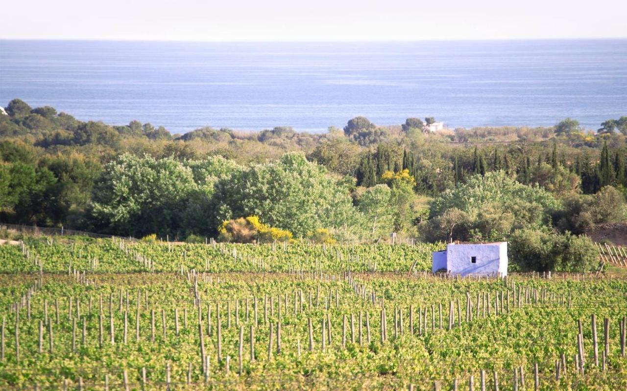 Masia Bartomeu Rural House Between Vineyards 2Km From The Beach El Vendrell Εξωτερικό φωτογραφία